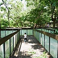 澄清湖風景區兒童樂園23.JPG