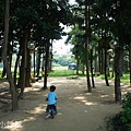 嘉義北香湖公園8.JPG