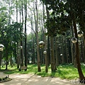 嘉義北香湖公園9.JPG