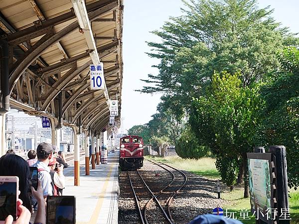 戀戀林鐵情-阿里山林業鐵路2.JPG