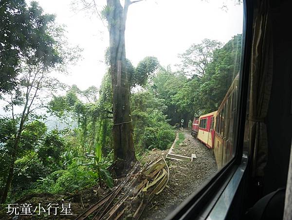 戀戀林鐵情-阿里山林業鐵路44.JPG