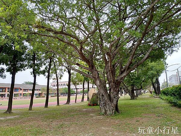 麻豆培文國小5.jpg 麻豆培文國小5.jpg