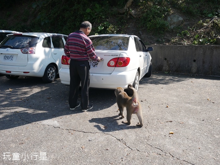 烏山獼猴保護區2.JPG