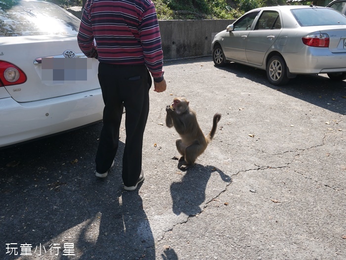 烏山獼猴保護區3.JPG