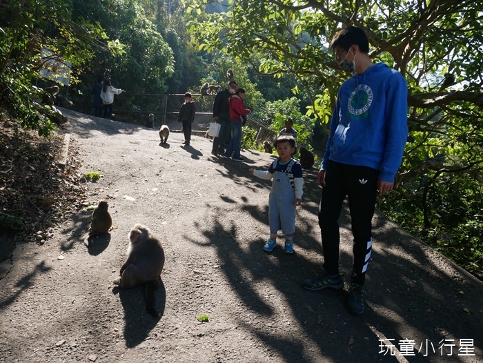 烏山獼猴保護區11.JPG