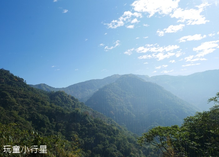 林鐵乘夢趣阿里山主題列車9.JPG