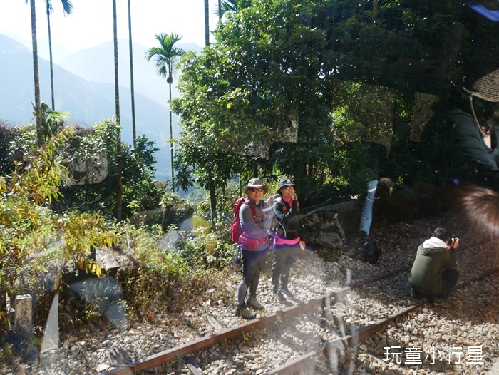 林鐵乘夢趣阿里山主題列車10.JPG