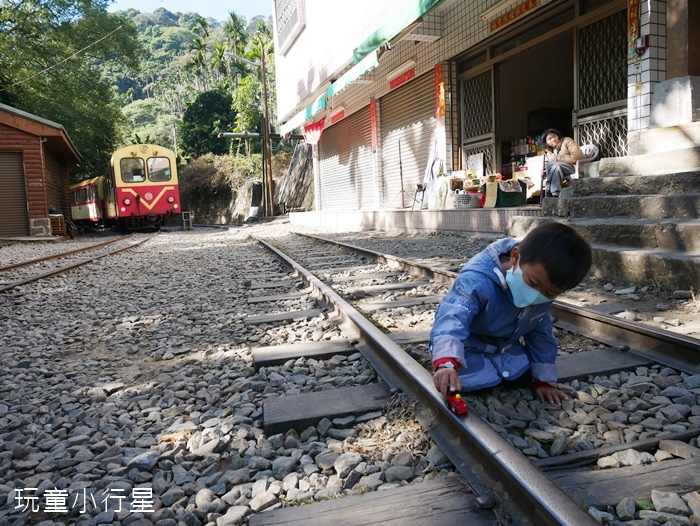 林鐵乘夢趣阿里山主題列車12.JPG