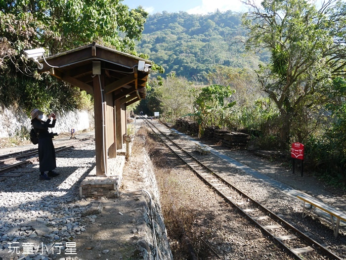 林鐵乘夢趣阿里山主題列車13.JPG