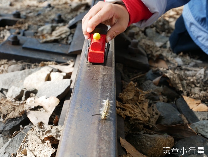 林鐵乘夢趣阿里山主題列車15.JPG