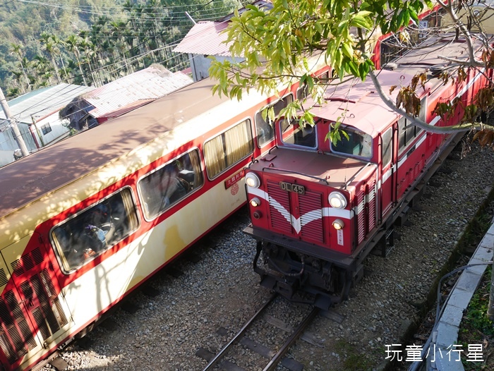 林鐵乘夢趣阿里山主題列車33.JPG