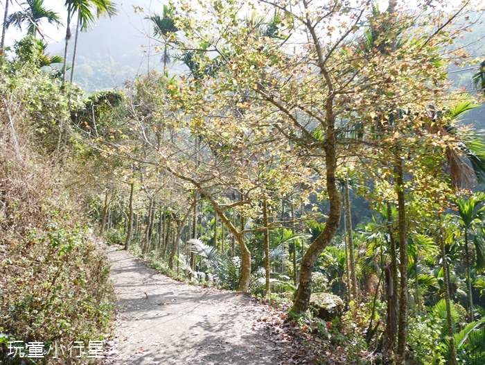 大凍山步道雞籠山13.JPG