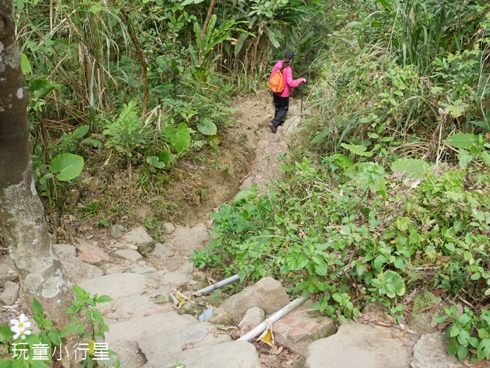 大凍山步道雞籠山23.JPG