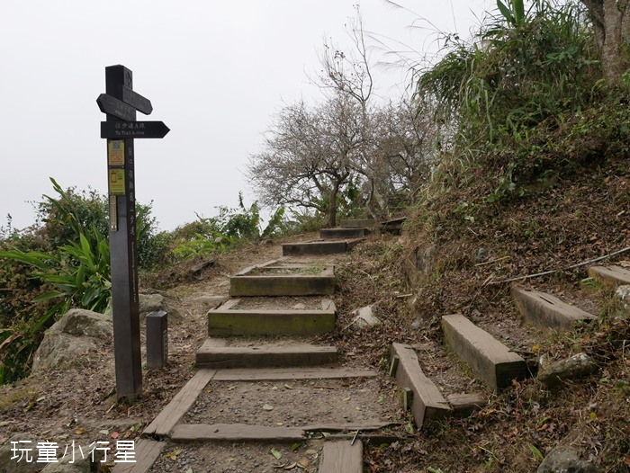 大凍山步道雞籠山18.JPG