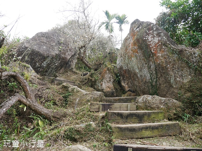 大凍山步道雞籠山21.JPG