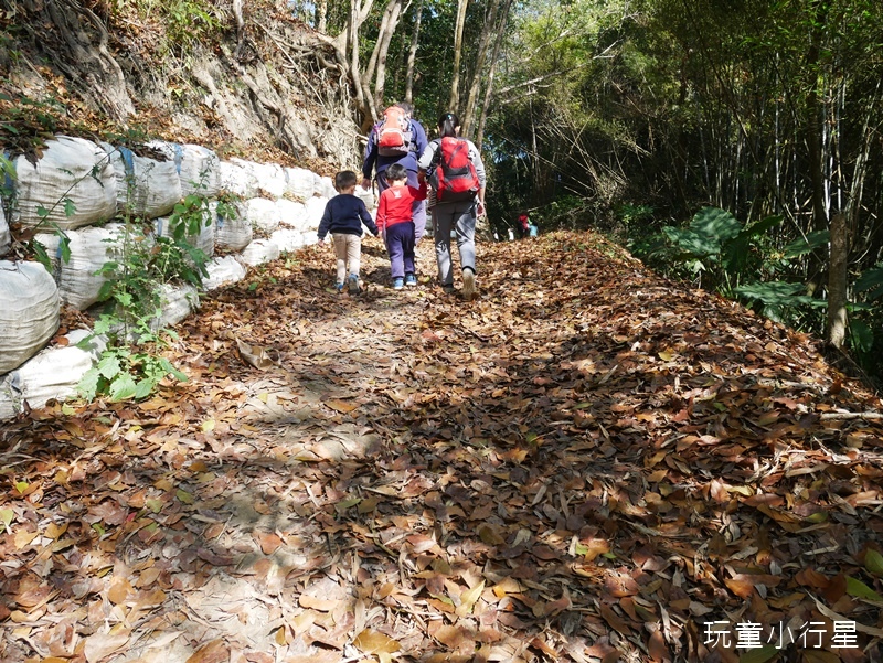 東山林安森林步道7.JPG