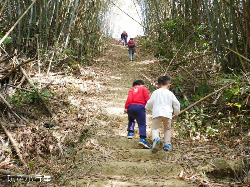 東山林安森林步道12.JPG