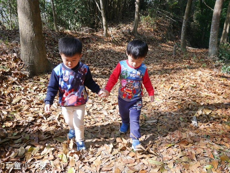 東山林安森林步道11.JPG