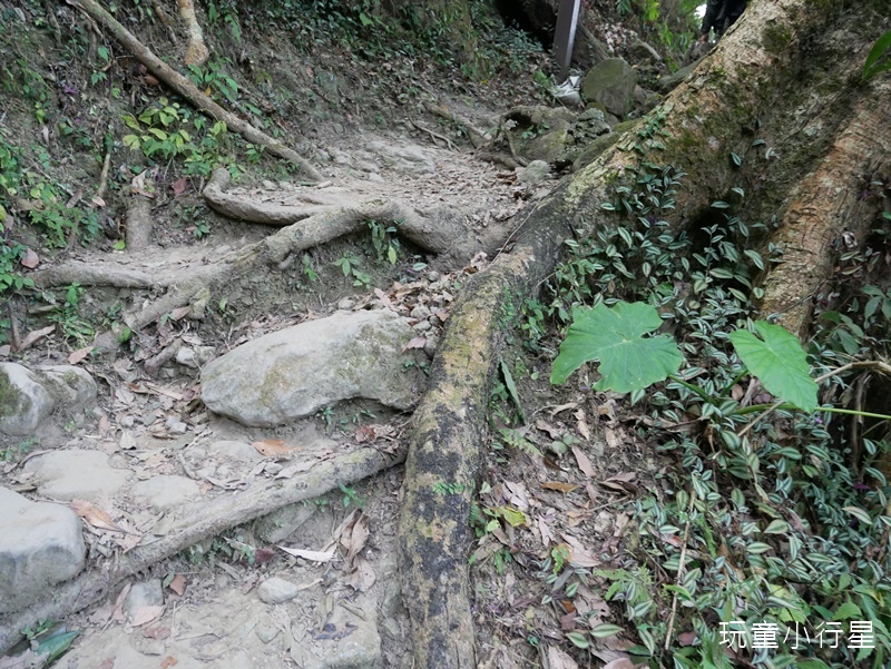 台南東山崁頭山5.JPG