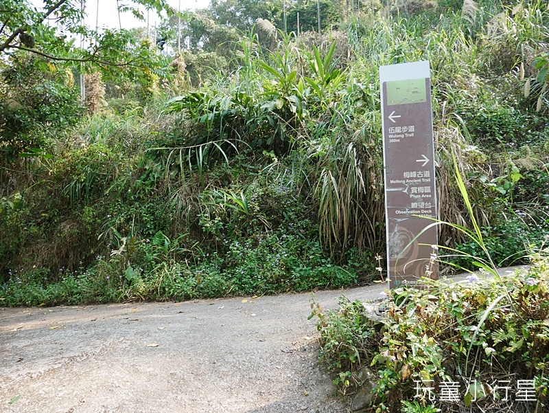 梅嶺伍龍+梅峰步道9.JPG