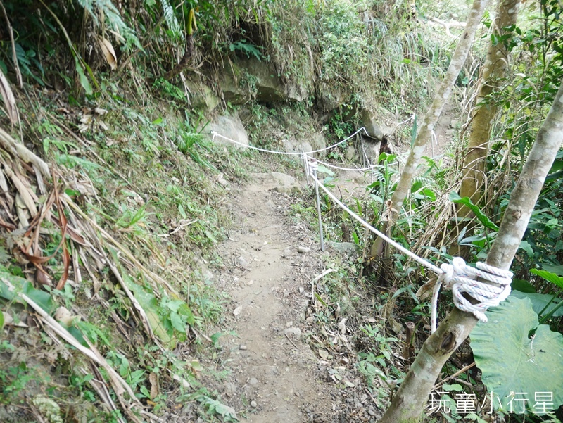 梅嶺伍龍+梅峰步道13.JPG