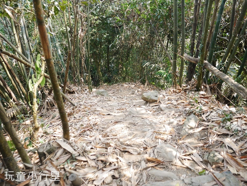 梅嶺伍龍+梅峰步道16.JPG