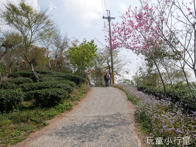 梅嶺伍龍+梅峰步道26.JPG