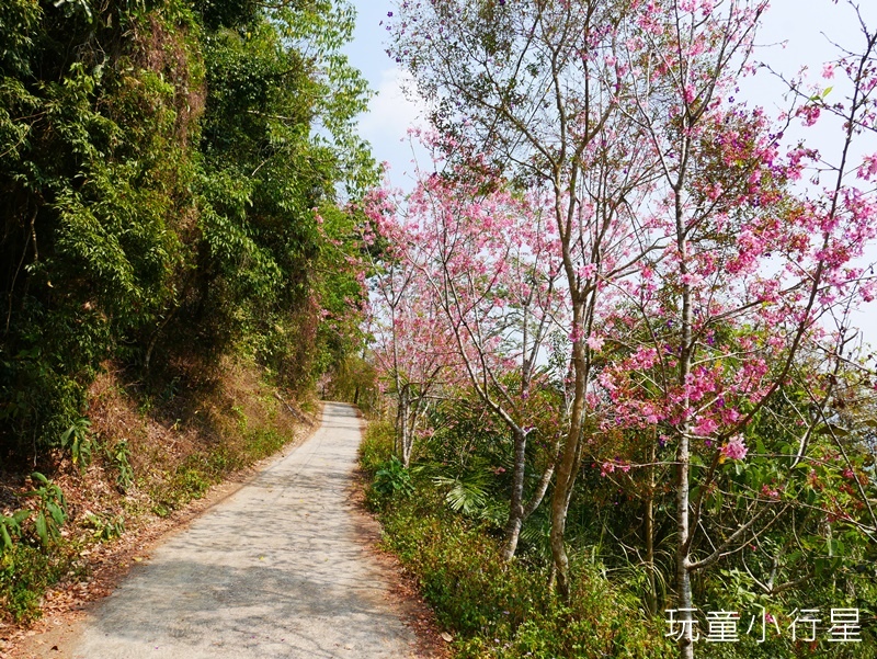 梅嶺伍龍+梅峰步道24.JPG