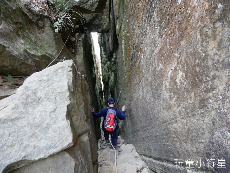 梅嶺伍龍+梅峰步道37.JPG