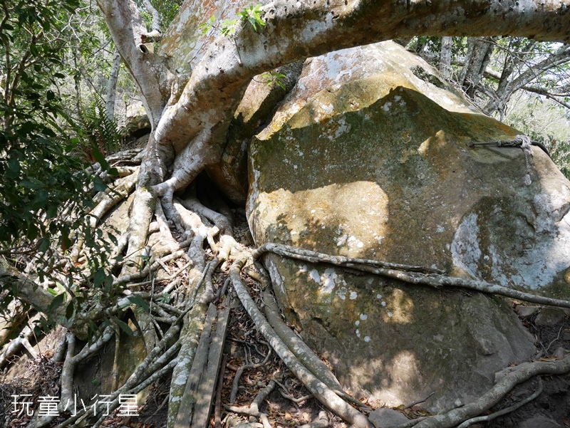 梅嶺伍龍+梅峰步道33.JPG