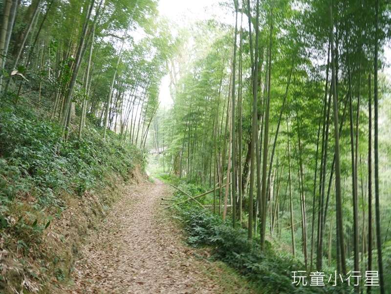 奮瑞古道12.JPG