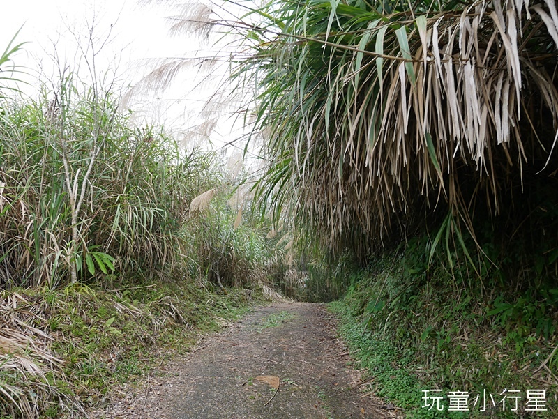 奮瑞古道17.JPG