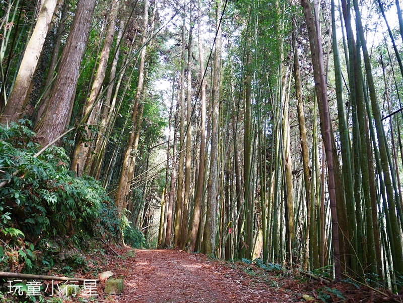 奮瑞古道19.JPG