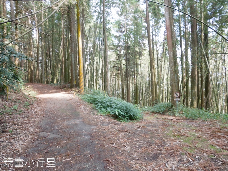 奮瑞古道18.JPG