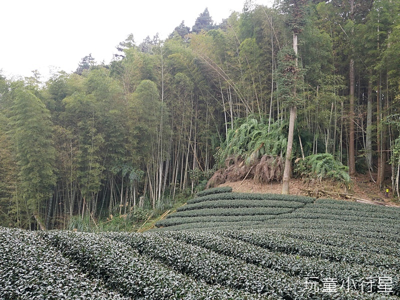 奮瑞古道28.JPG