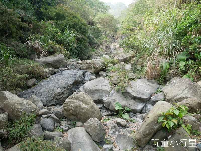 獨立山步道29.JPG