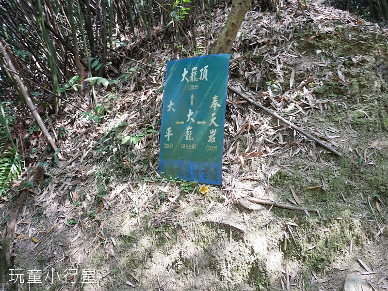 獨立山-大巃頂步道4.JPG