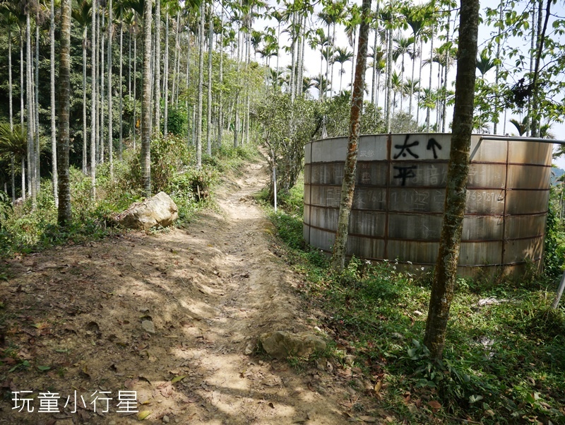 獨立山-大巃頂步道3.JPG