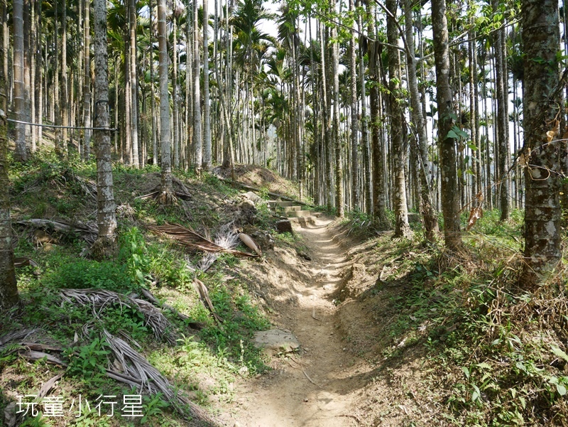 獨立山-大巃頂步道2.JPG