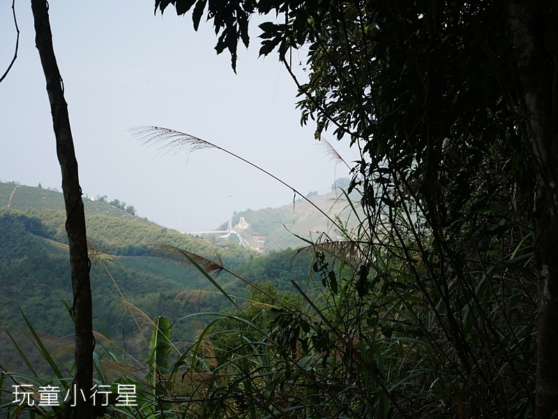 獨立山-大巃頂步道7.JPG