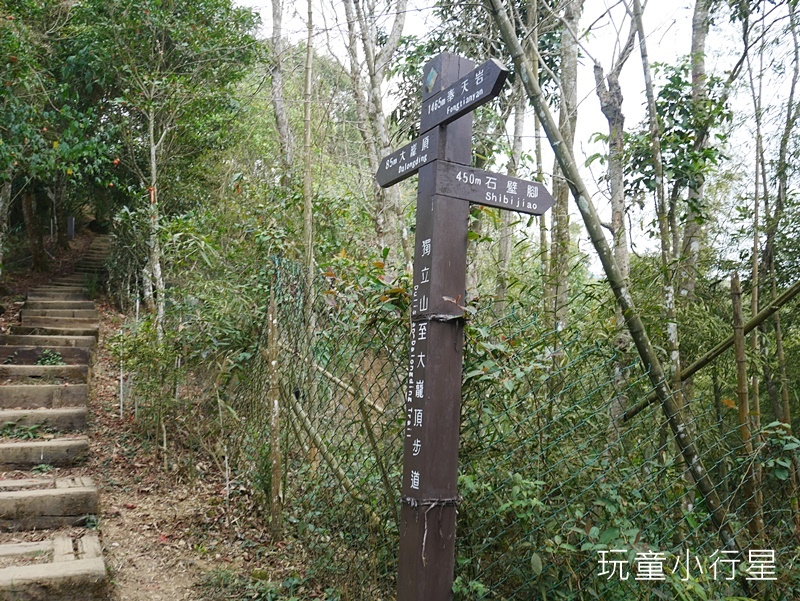 獨立山-大巃頂步道6.JPG