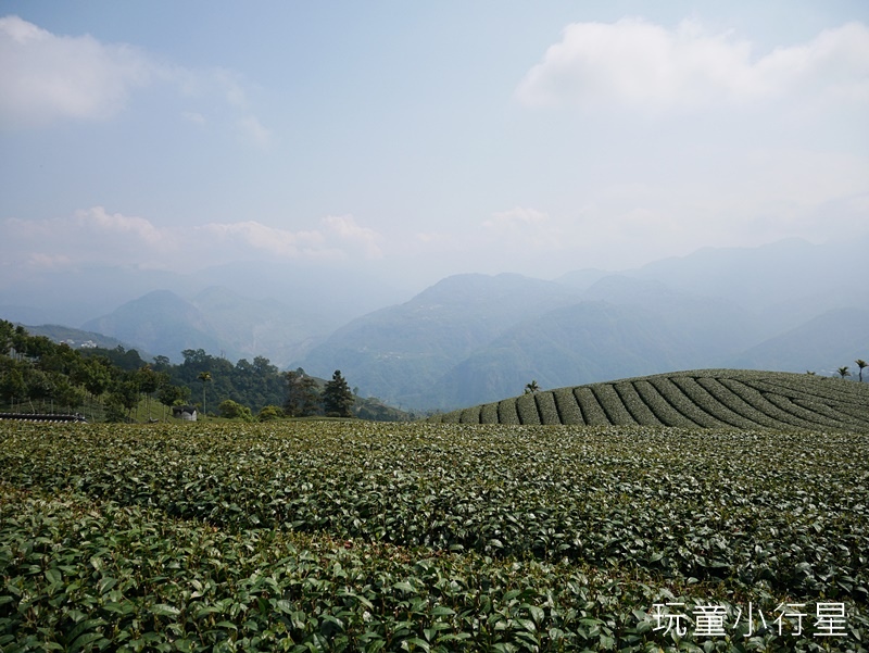 獨立山-大巃頂步道13.JPG