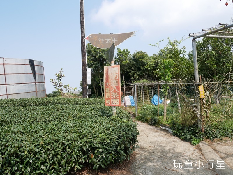 獨立山-大巃頂步道11.JPG