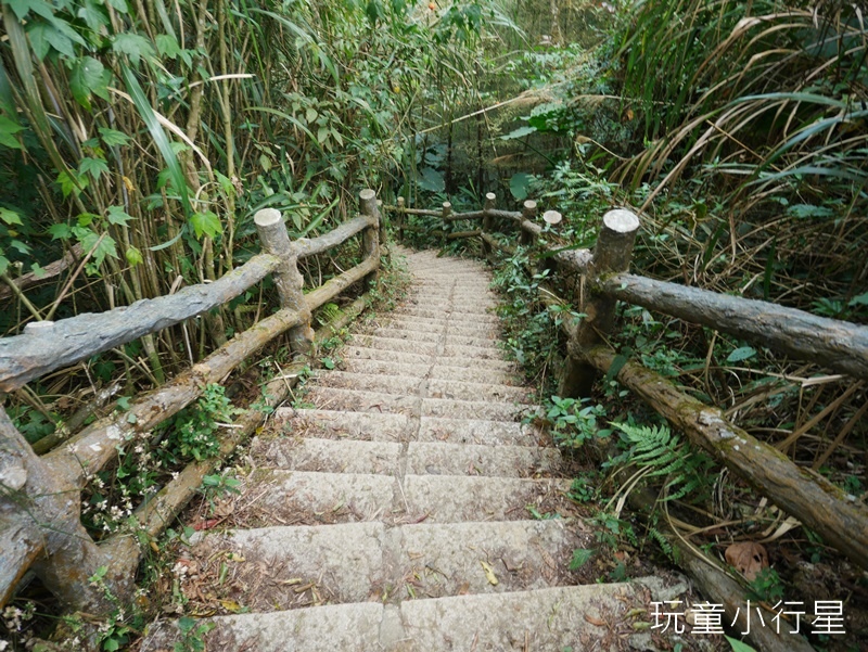 獨立山-大巃頂步道17.JPG