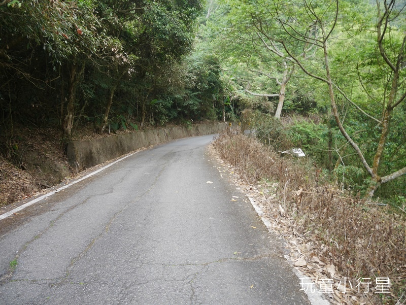 獨立山-大巃頂步道25.JPG