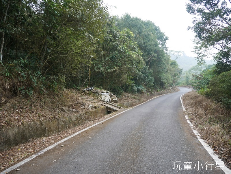 獨立山-大巃頂步道26.JPG