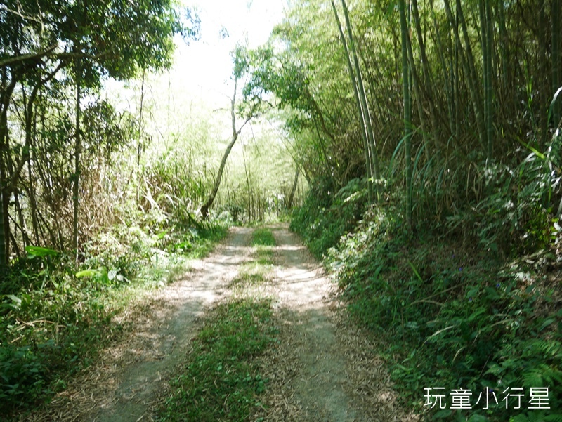 雲嘉五連峰8.JPG