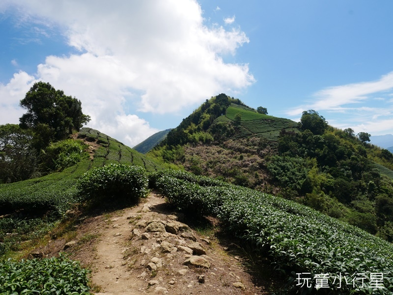 雲嘉五連峰17.JPG