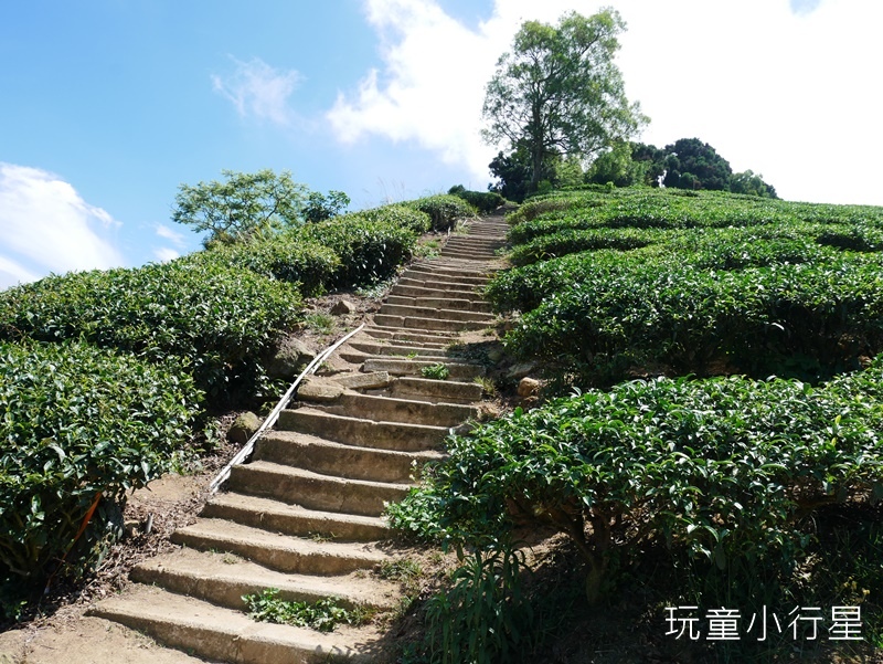 雲嘉五連峰23.JPG