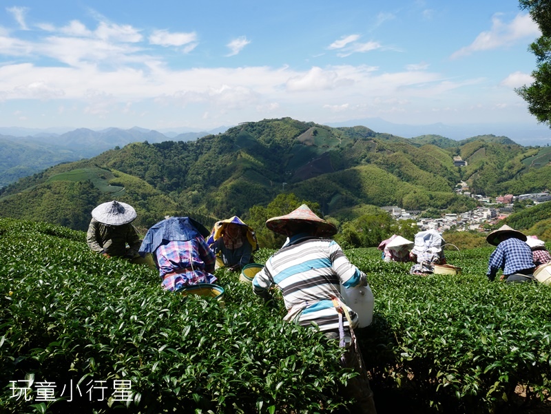 雲嘉五連峰24.JPG